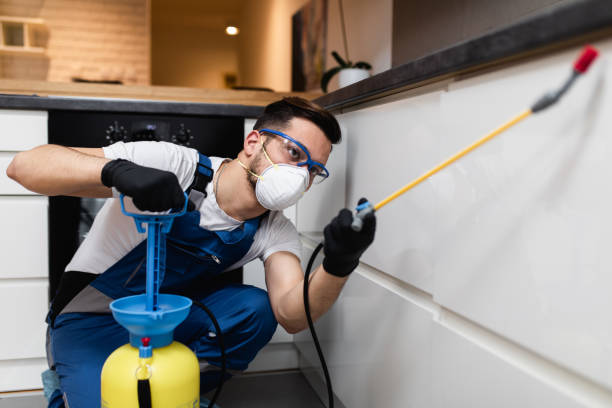 Best Pest Removal Services  in Tucson Estates, AZ