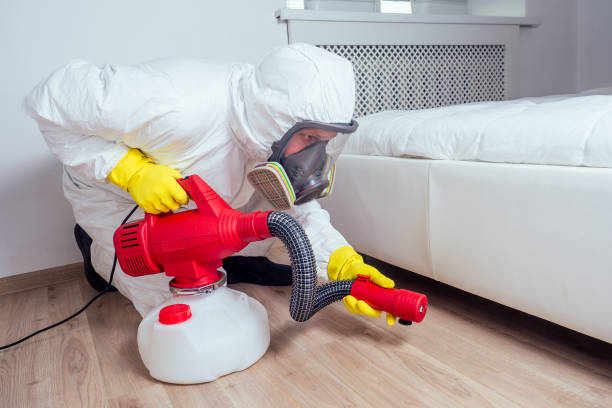 Best Pest Control Near Me  in Tucson Estates, AZ