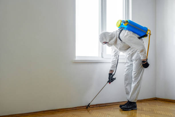 Best Local Pest Control Services  in Tucson Estates, AZ