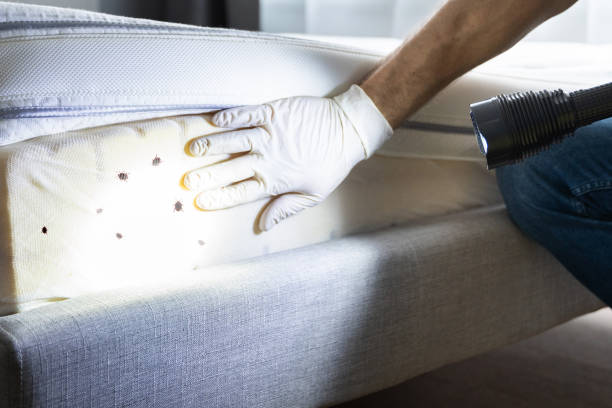 Best Wildlife Control Services  in Tucson Estates, AZ