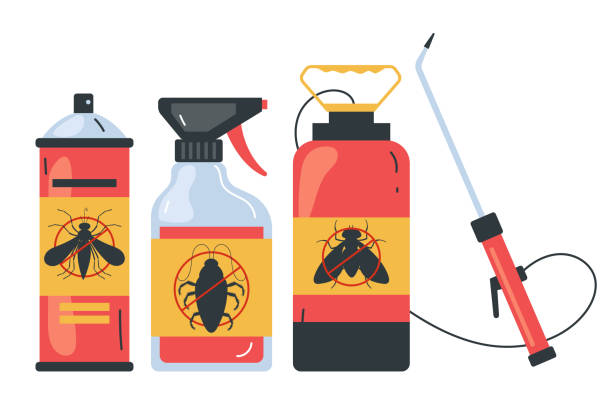 Best Pest Prevention Services  in Tucson Estates, AZ