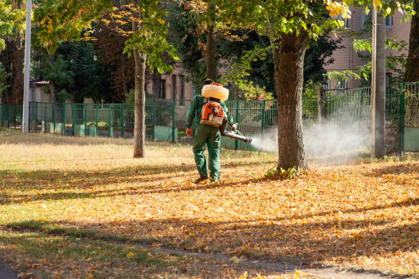 Professional Pest Control in Tucson Estates, AZ